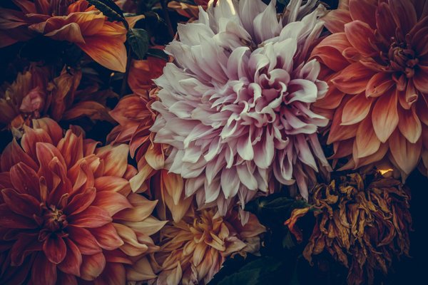 Expert bathroom fitters in sidcup for eco-friendly upgrades